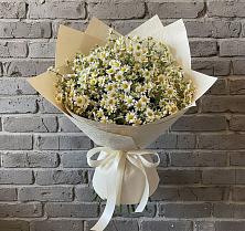Букет цветов из:  Ромашки #REPLACE_PRED# Ракитном